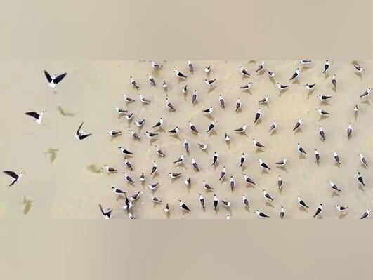 此景,建议入选国家地理!