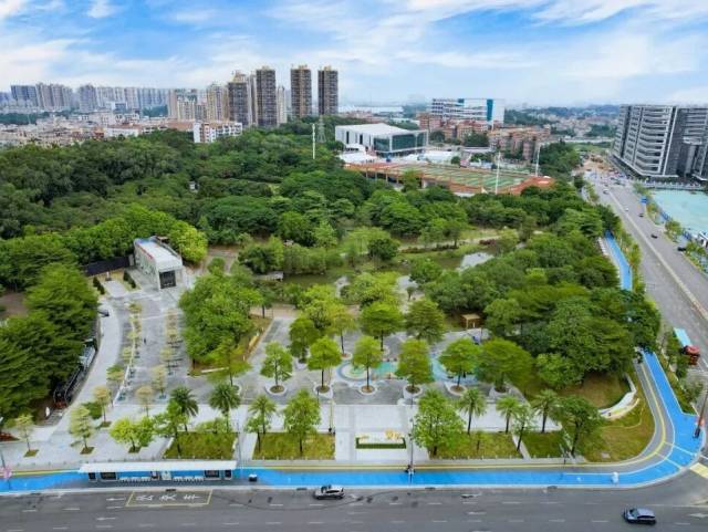 匠心筑梦・石龙蝶变｜石龙路网焕新赋能战新产业与交通枢纽双提升