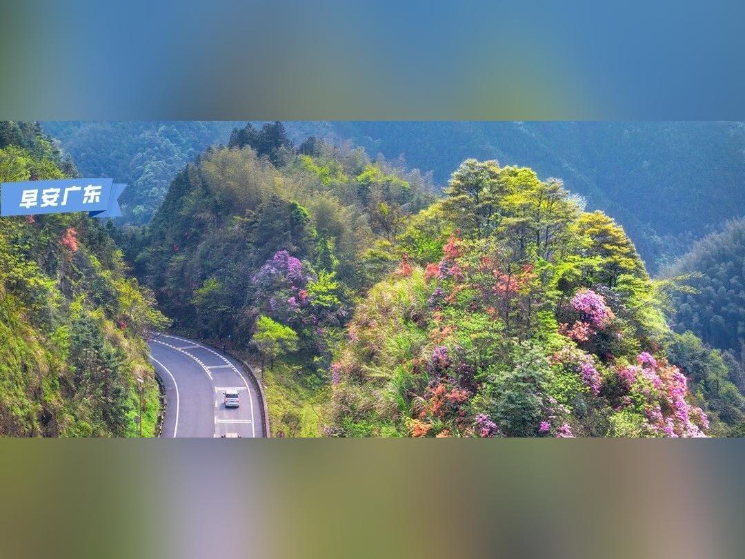 金星合月!今日上演|早安广东