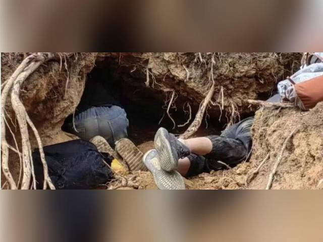 兴农评丨私挖水晶毁山林 生态底线不容践踏