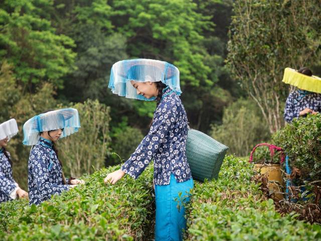 五一不必远游，惠阳近60场活动安排上了