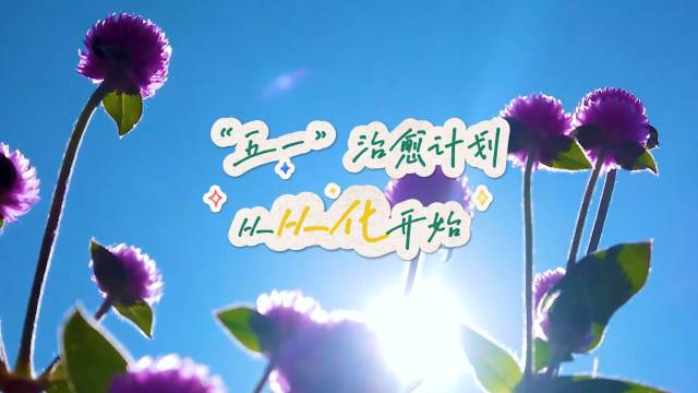 “五一”治愈计划，从从化开始