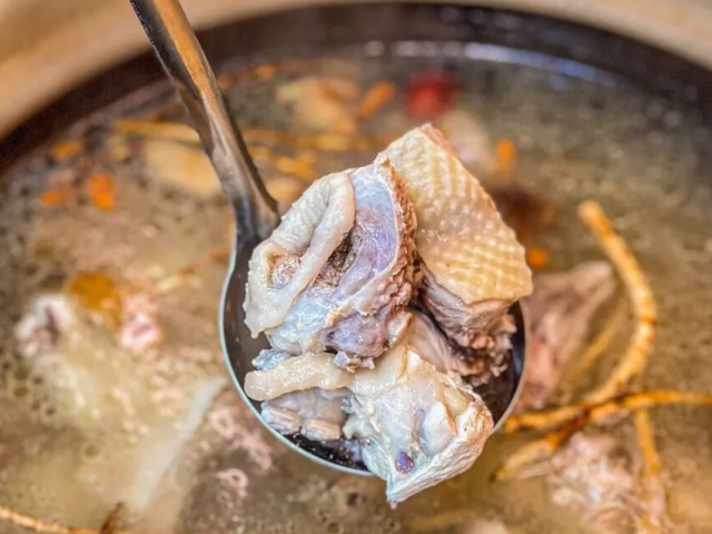 吃了莫氏鸡煲拉肚子？医生：祛湿不是越猛越好，辨证调理才安心