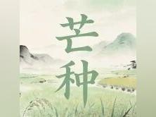 【节气话国企】今日芒种|“芒”有所获 “种”有所得