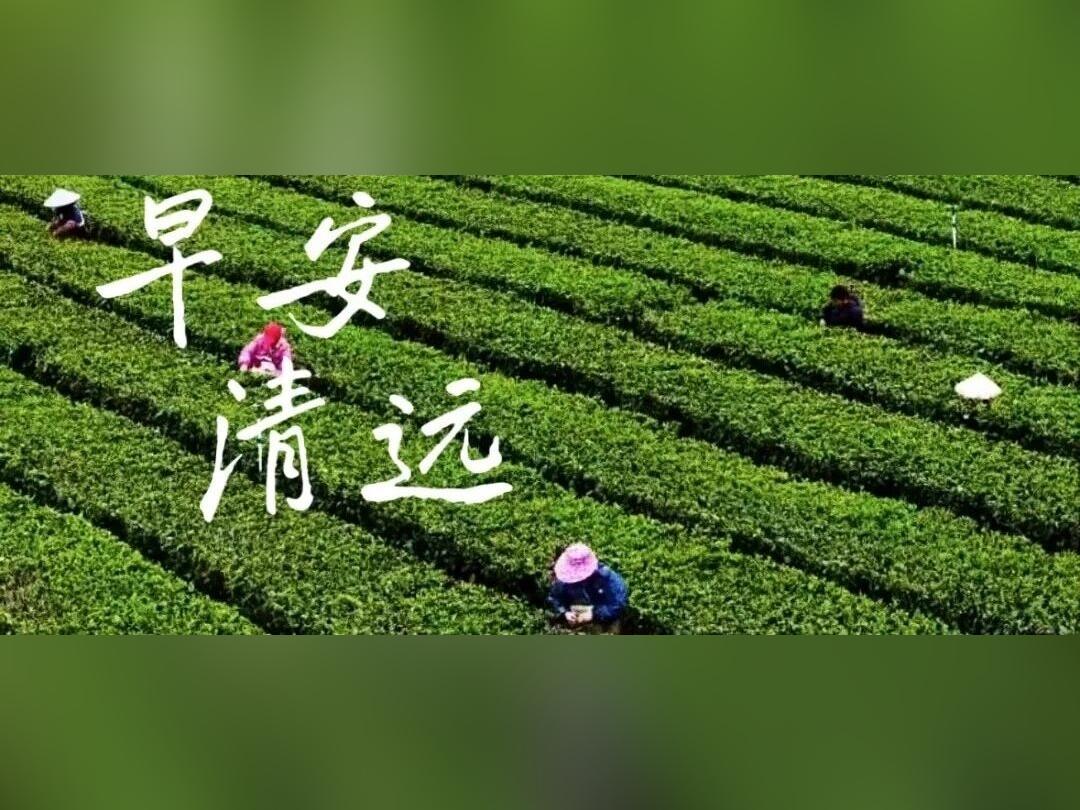 【7月10日】早安,我眼中的清远