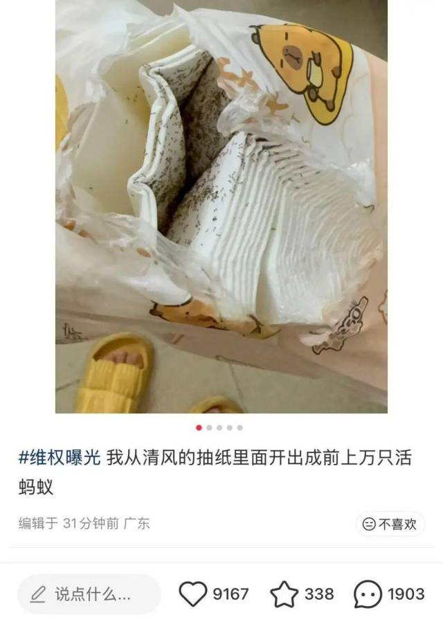打开抽纸看到“成千上万只活蚂蚁”！知名品牌回应