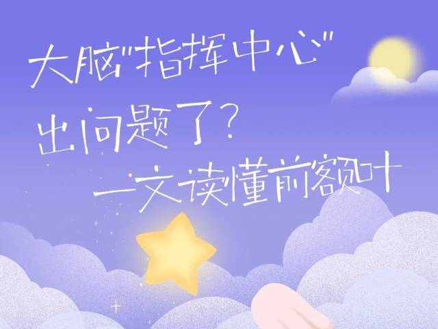 今天起，请尊重一下你的前额叶！