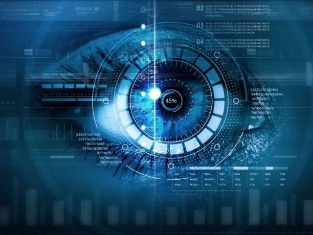 伪装成求职者“混入”多家公司，非法窃取用户隐私数据，出售给境外不法人员诱发电诈案件，17人获刑