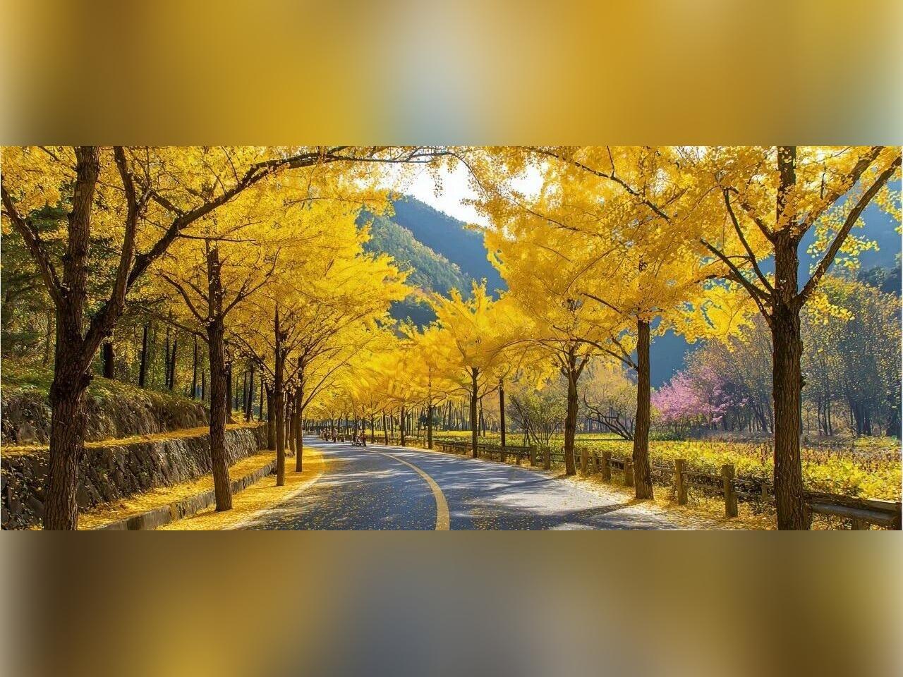多年以后,才读懂课本里的秋天