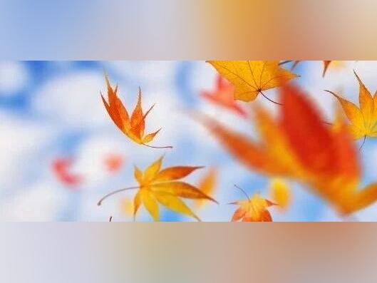 深秋时节,一起来讲讲,秋季消防安全那些事