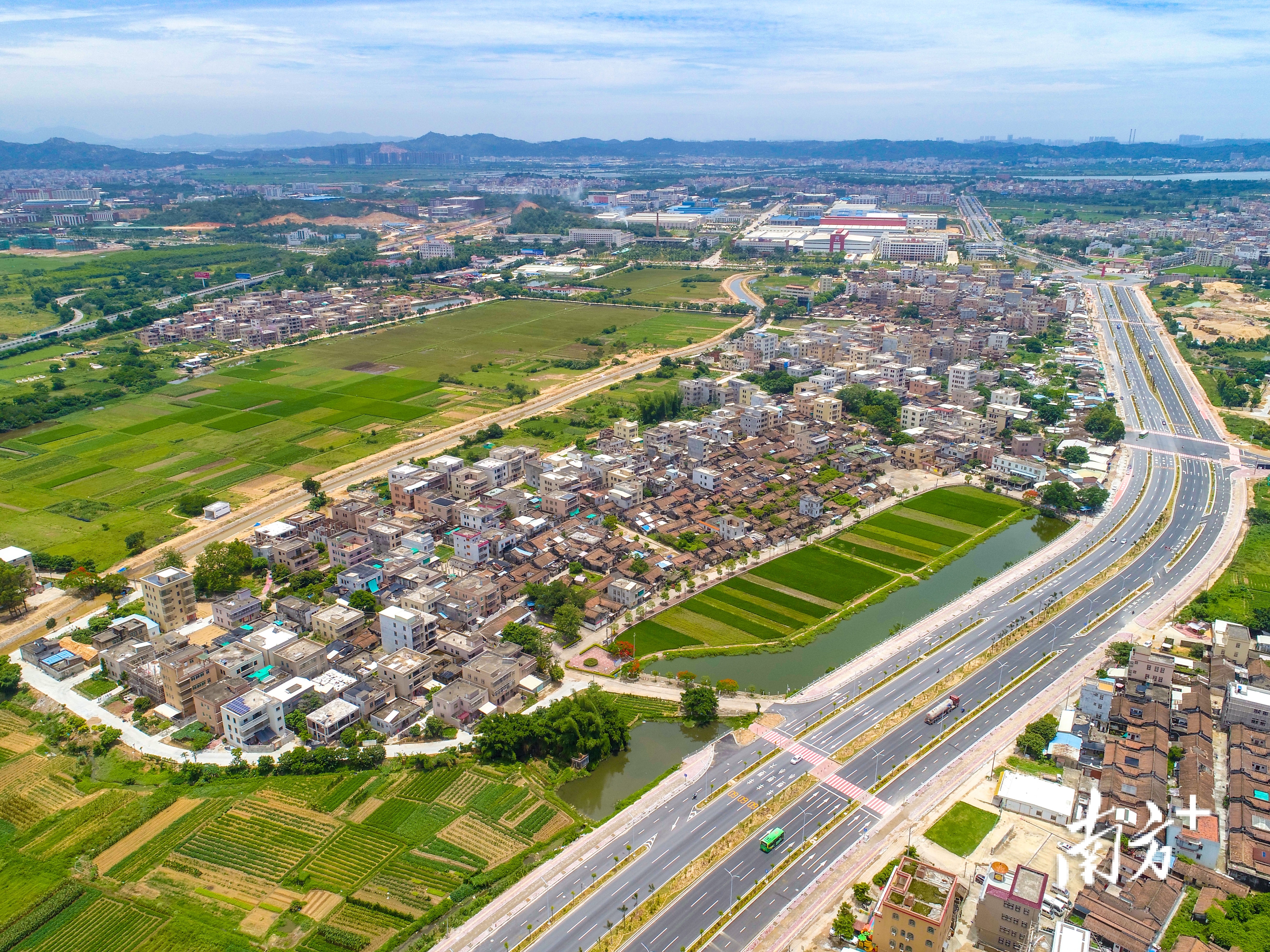 道路通,农产品运得出,产业才能发展。林泽槟 摄 通讯员/受访者 林泽槟 供图 道路通,农产品运得出,产业才能发展。林泽槟 摄 通讯员/受访者 林泽槟 供图