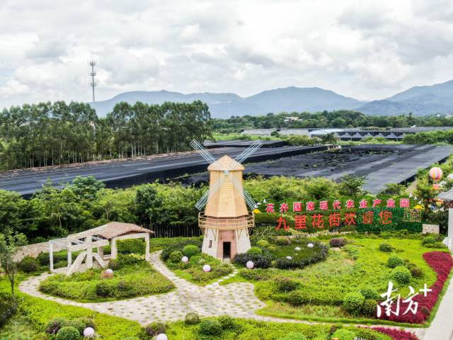 西和小镇花卉产业园 