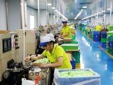 镇域产业深观察 | 汕头潮南司马浦：“一把牙刷”进军百亿元产业