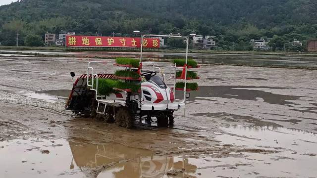 东源智慧农场无人驾驶插秧机作业现场。