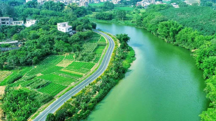 广东各市县黑臭水体全面消除