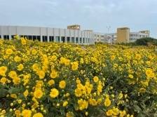 党建引领乡村振兴汕头行④ | 濠江：开启乡村全面振兴新征程