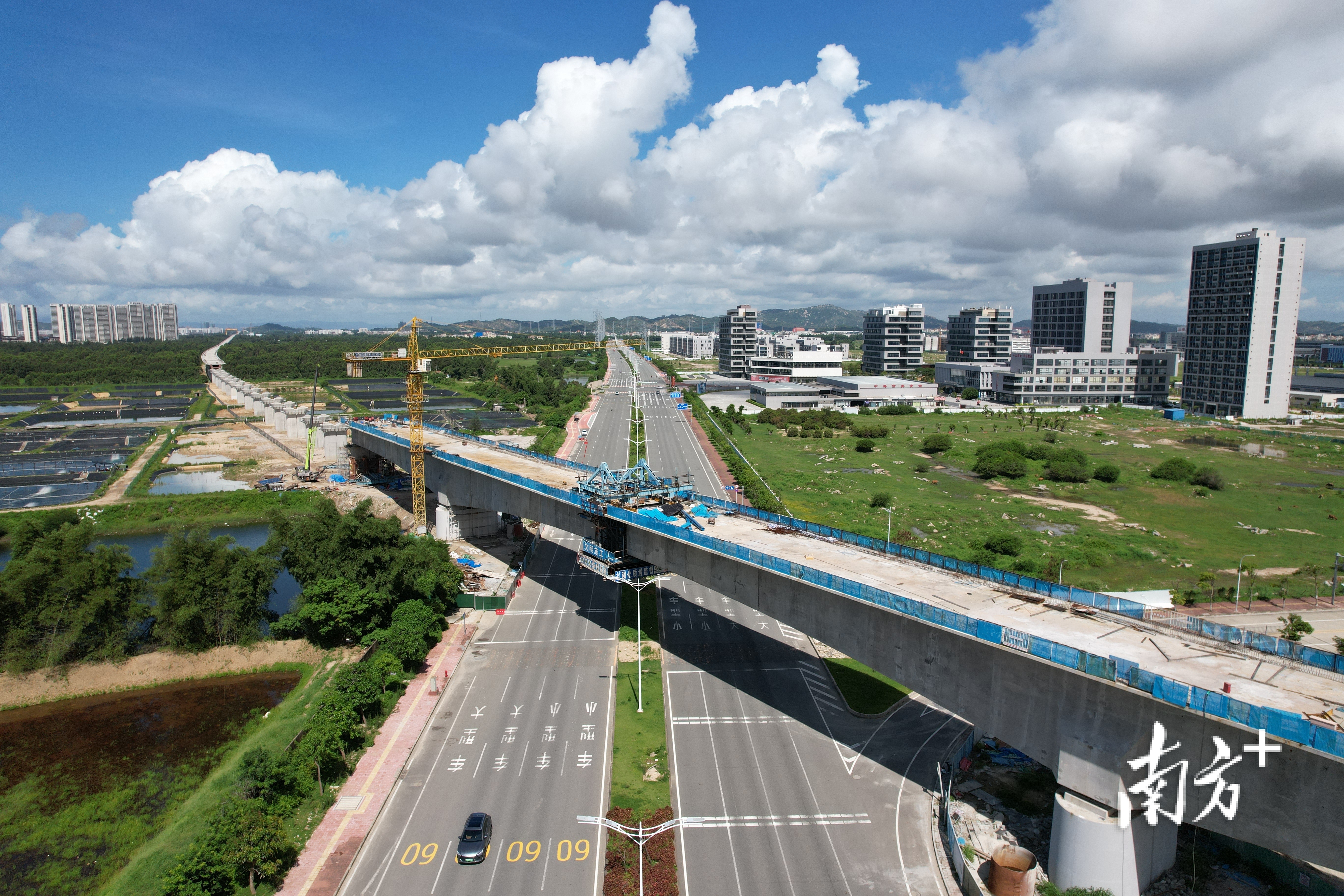 跨疏港大道116米连续梁现场航拍。  南方+ 肖俏,吴利婷 制图