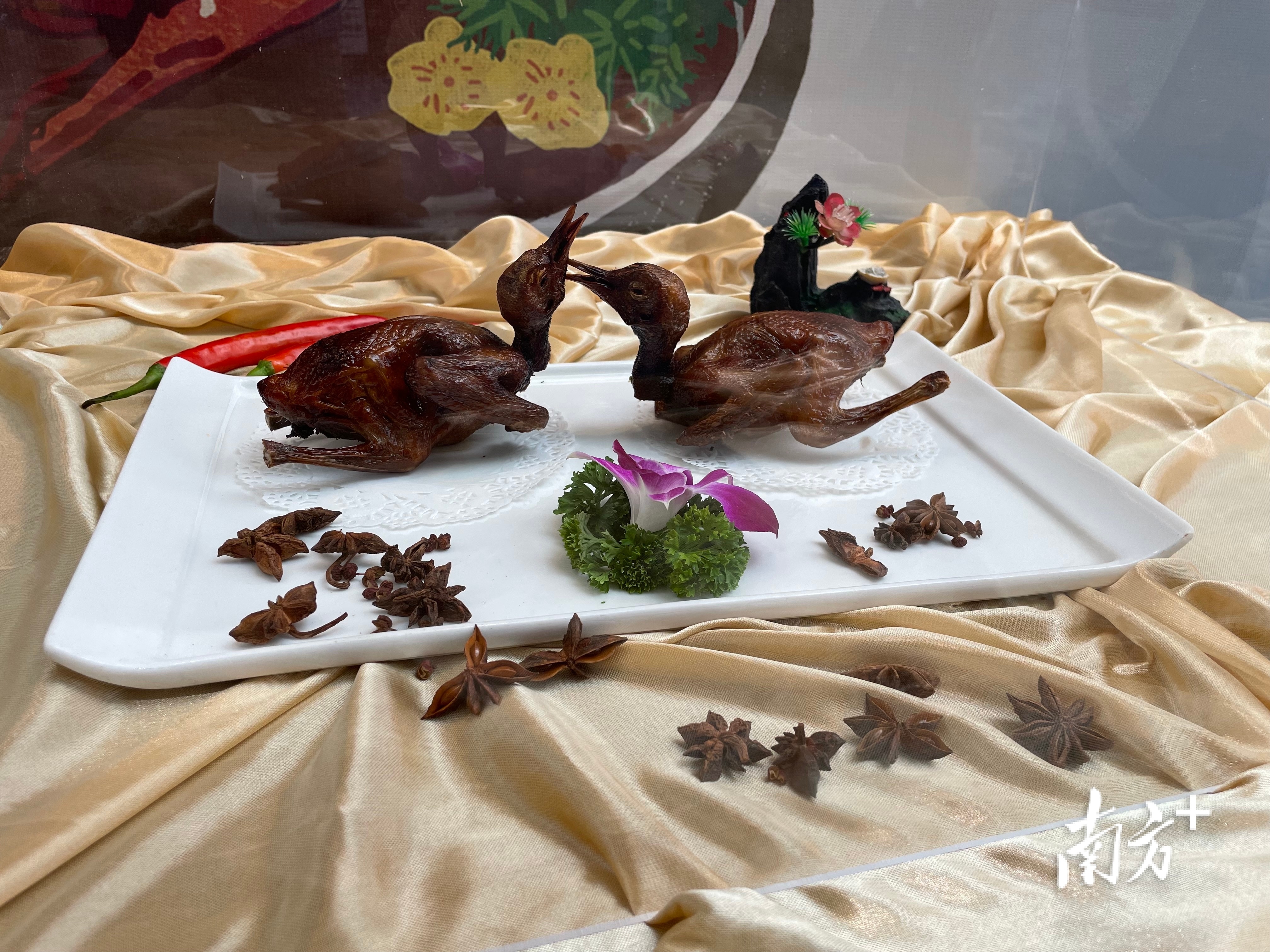 生炸石岐乳鸽。 &nbsp;南方+ 叶志文 拍摄