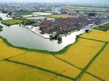 党建引领乡村振兴汕头行⑤ | 潮南：“党建红”让小康成色更足