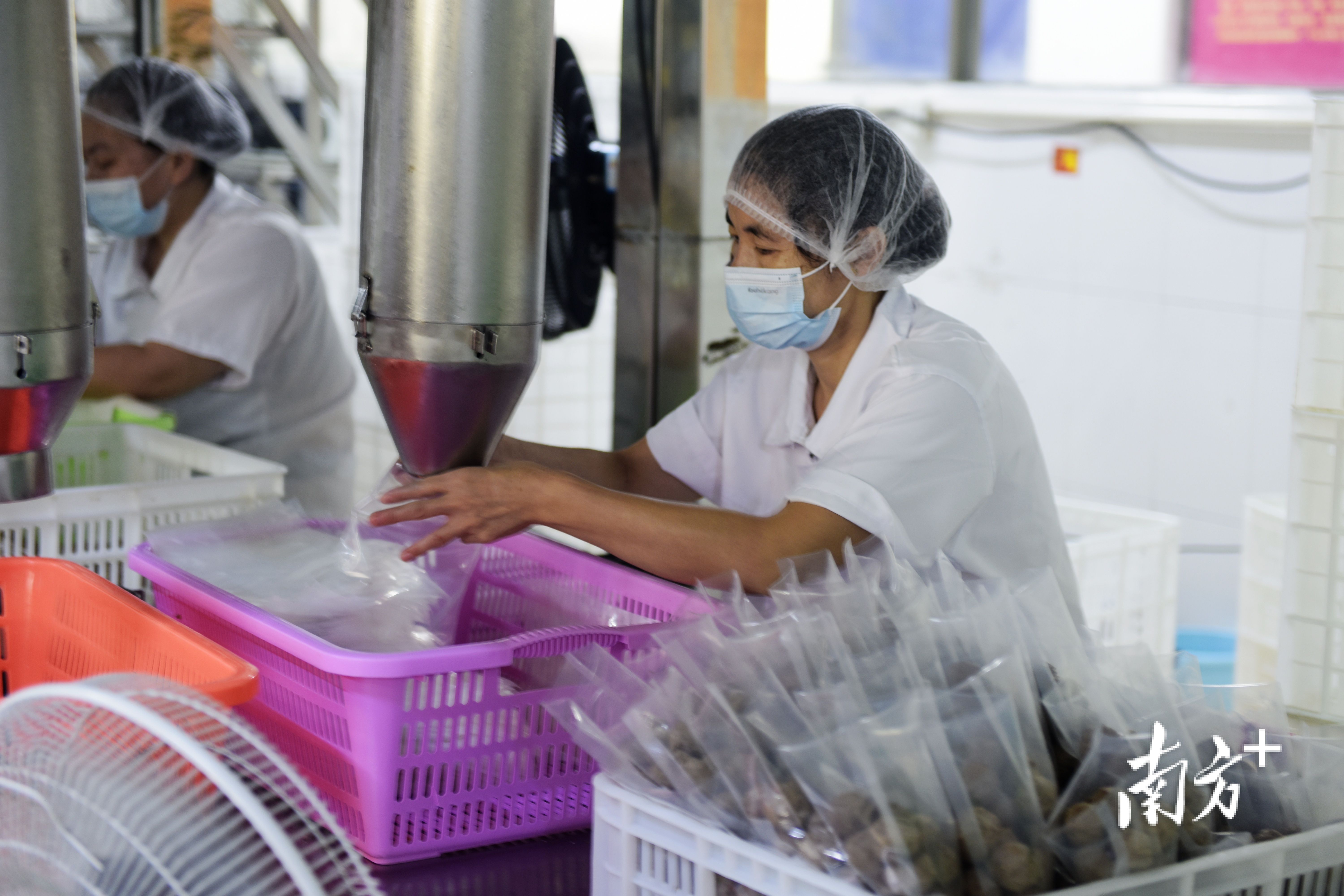 牛肉丸经过定量称重方能装袋。  南方+ 张伟炜 拍摄