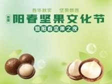 直击首届阳春坚果文化节暨阳春坚果之夜