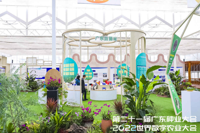 新增13个！第四批广东丝苗米认定产品权威发布