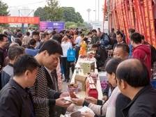 冯恩友：湛江是全国北运菜生产大市，产区优势明显！｜飞渡计划系列报道 ⑮