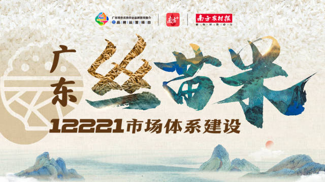 创意海报丨干饭姐妹x广东丝苗米