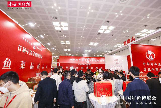 何海明：年鱼品牌战略推动渔业高质量发展