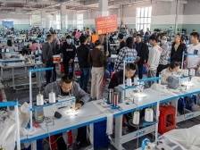 划重点！一文速读广东“百千万工程”决定