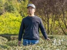 “台二代”弃工从农，随父返乡接棒种茶｜一杯粤茶·两地情缘④