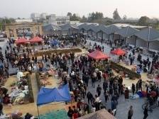 澄海区隆都镇：擘画新蓝图，铺展振兴路 | 竞跑“百千万” 再造“镇能量”