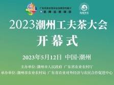 直击2023潮州工夫茶大会