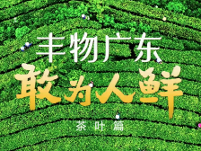 丰物广东 敢为人“鲜” 之茶叶篇