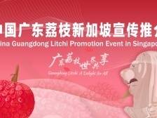 广东荔枝×新加坡商超梦幻联动！专场宣传推介6月29日见