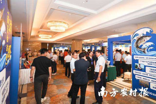 2023年7月，广东金鲳鱼品牌推介活动现场，广东海鲜供应商与重庆采购商交流。