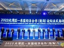 东盟十国聚力前海！打造湾区国际合作新机遇｜深圳国际范