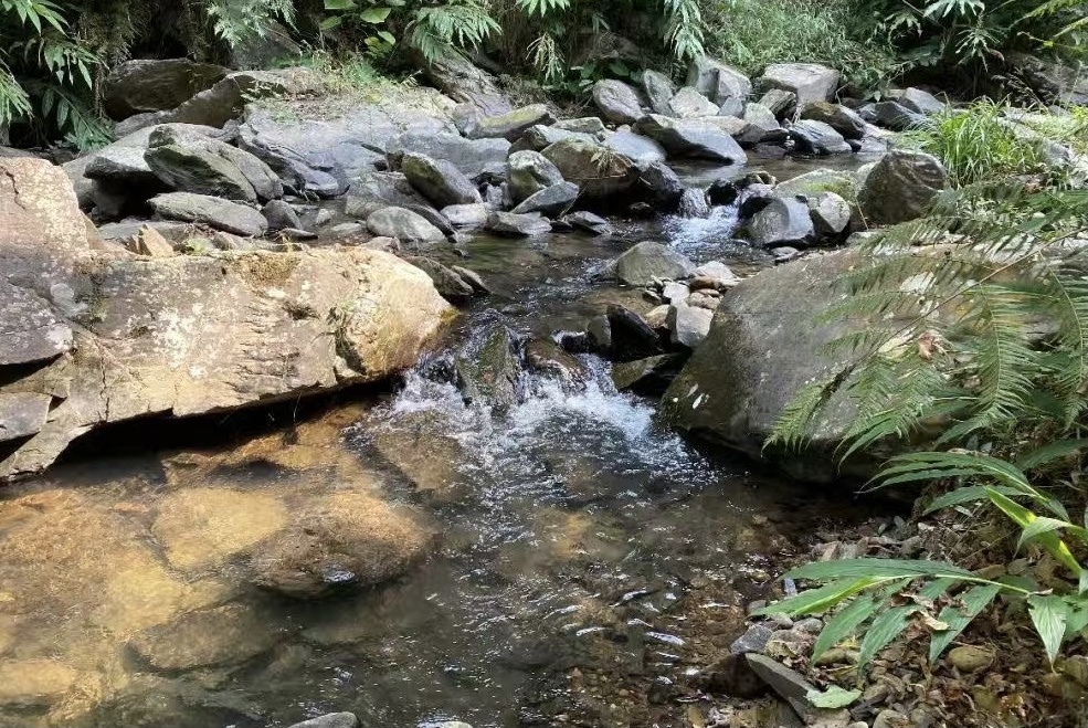 连山地区水资源丰富，水质清冽