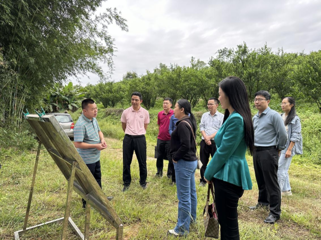 華南農(nóng)業(yè)大學(xué)組織專家團(tuán)隊(duì)赴紫金縣開展產(chǎn)業(yè)幫扶調(diào)研工作