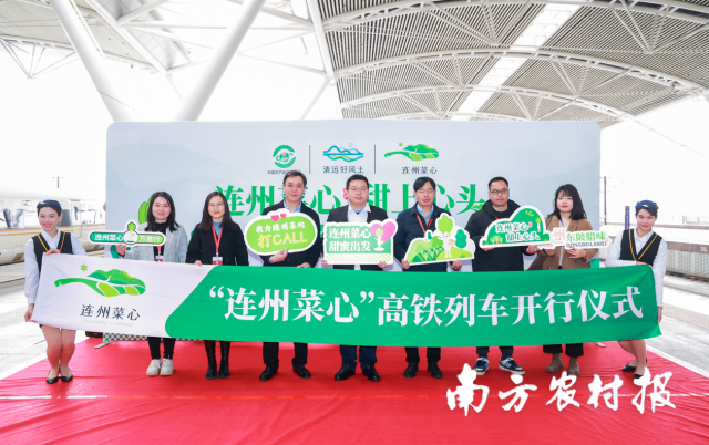 专属高铁列车，将连州菜心特色品牌送达远方。