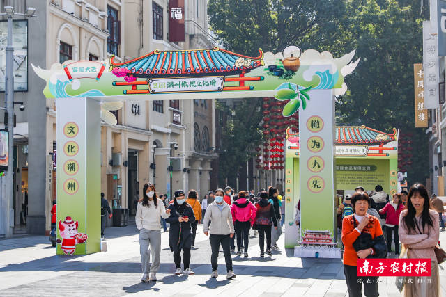 驻潮州潮安文祠镇工作队推动文祠橄榄走进湾区。吴秒衡/摄