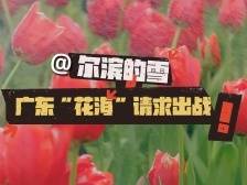 尔滨归来不看雪，广东归来不看花