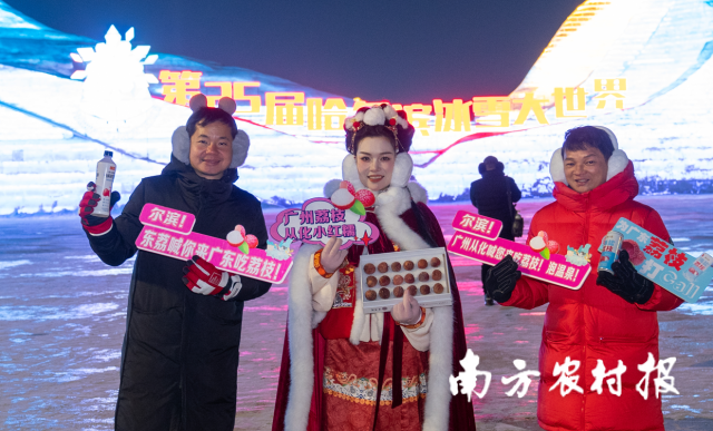 1月22日，广州市从化区的冻眠荔枝逾越3000多公里北上哈尔滨。