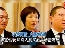 直播｜尔滨有雪、大鹏有海！政协委员热议大鹏文旅高质量发展