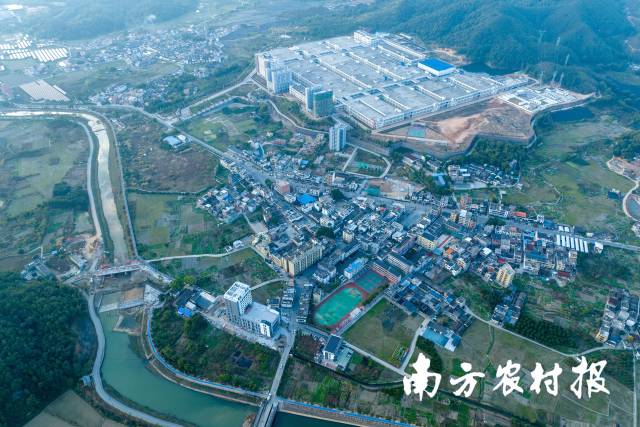 水头镇圩镇全貌。