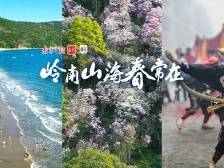 春节人从众挤累了？岭南的山海等你来“躺平”
