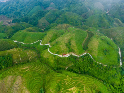 揭阳市委书记：在工作一线选拔干部丨市委书记抓乡村振兴2025年度盘点