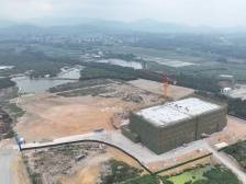 电城镇架炮村：从省定贫困村到示范典型村，走对了哪几步？｜茂名典型村一线行①