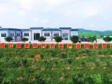 3家省级单位纵向帮扶化州，“土特产”大文章这样做