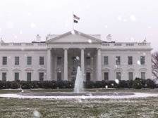 美国“超级星期二”，谁获益最大？｜大选观察团